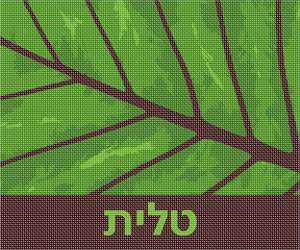 image of Tallit Leaf