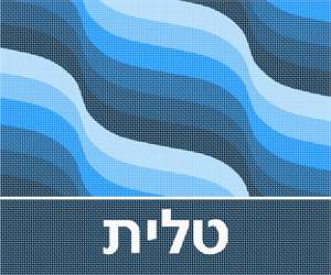 image of Tallit Waves Blue