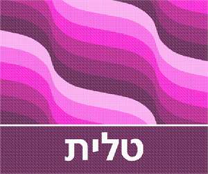 image of Tallit Waves Magenta