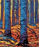 Tree barks in autumn. If you love abstract art, this canvas is for you. These barks seem never ending as they stand tall and firm.