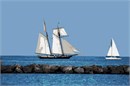 Sailboats serenely adrift at sea