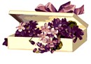 Box Purple Flowers