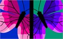 Vivid butterflies in bold shades of purples and pinks. There are almost 20,000 butterfly species. Butterflies only live for a few weeks. Butterfly wings help them against predators. This collage design is also available with three butterflies.
