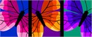 Vivid butterflies in bold shades of purples, oranges, and pinks. There are almost 20,000 butterfly species. Butterflies only live for a few weeks. Butterfly wings help them against predators. This collage design is available with two butterflies.
