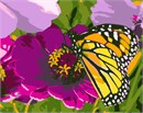 A yellow butterfly resting on a fuchsia flower.  Butterflies are deep and powerful representations of life. Around the world, people view the butterfly as representing endurance, change, hope, and life. Flowers and floral design are among the most popular needlepoint designs. People have been stitching flowers and floral motifs for hundreds of years.  Flowers are bright and pleasant, and most have underlying meanings to them.