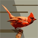 Cardinal (Large)