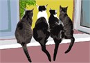 Four cats looking out the window together. A cat’s meow is used to communicate with humans, not other cats.  Cats have more bones in their bodies than humans. Cats don’t have a sweet tooth.  Every cat’s nosepad is unique – like a fingerprint.  Cans can become addicted to tuna (no, not chocolate!).  Cats groom themselves for over a third of the time they are awake.