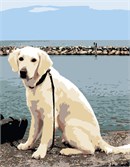 Dog on a leash resting at the riverside.  Do you walk your dog near the ocean or on the boardwalk? Does your dog delight in watching the waves surrender to the sand at the beach?  This "Dog at River" is perfect for you.