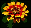 A flaming flower in bright reds and yellow. Flowers and floral design are among the most popular needlepoint designs. People have been stitching flowers and floral motifs for hundreds of years.  Flowers are bright and pleasant, and most have underlying meanings to them.