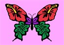 Tropical flowers in butterfly shape.  Butterflies are deep and powerful representations of life. Around the world, people view the butterfly as representing endurance, change, hope, and life.
