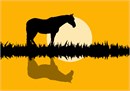 Horse in the pasture with the sun in the background. This silhouette needlepoint is easy and fun for a beginner.