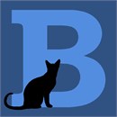 Letter B Black Cat