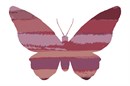 A variegated butterfly in a combination of earth tone and mauve shades.  Butterflies are deep and powerful representations of life. Around the world, people view the butterfly as representing endurance, change, hope, and life.