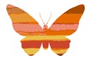 A variegated butterfly in shades of deep bright orange.  Butterflies are deep and powerful representations of life. Around the world, people view the butterfly as representing endurance, change, hope, and life.