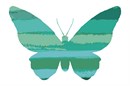 A variegated butterfly in shades of aqua and teal.  Butterflies are deep and powerful representations of life. Around the world, people view the butterfly as representing endurance, change, hope, and life.