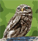 Owl (Large)