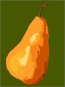 A wholesome looking orange-brown pear.
