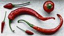 Red peppers, jalapeno, chili peppers...  The chili pepper, from Nahuatl chīlli, is the fruit of plants from the genus Capsicum which are members of the nightshade family, Solanaceae. Chili peppers are widely used in many cuisines as a spice to add heat to dishes.