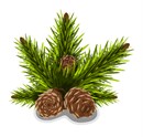 Pine cones as a centerpiece