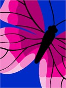 Vivid butterfly in bold shades of pink. There are almost 20,000 butterfly species. Butterflies only live for a few weeks.  Butterfly wings help them against predators. This design is available in other colors too.