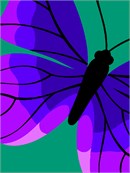 Vivid butterfly in bold shades of purple. There are almost 20,000 butterfly species. Butterflies only live for a few weeks.  Butterfly wings help them against predators. This design is available in other colors too.