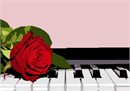 Radiant red rose resting on piano keys.Red roses symbolize love and romance. Pink roses symbolize gratitude, grace, admiration, and joy. Orange roses symbolize enthusiasm and passion. Yellow roses symbolize friendship. White roses symbolize innocence and purity. This is a perfect gift for the music lover, musician, orchestra performer or aficionado. There is a lot of truth to the common saying that music soothes the soul. Music has officially been recognized as a form of therapy. It stimulates so many parts of the brain and emotions to a rate that it can lower blood pressure and heart rate.