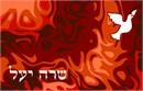 A book cover with a fiery backdrop and a white dove in the foreground. Many mothers and grandmothers stitch tefillin and tallit bags for the boys. They stitch siddur covers for the girls. Many schools have siddur ceremonies where the siddur cover is custom made.