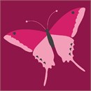 Beginner butterfly in pinks.  Butterflies are deep and powerful representations of life. Around the world, people view the butterfly as representing endurance, change, hope, and life.