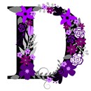 The Letter D in hues of purple flowers. About 100 languages use the same alphabet like in English which makes it one of the most widely used alphabets in the world. While some languages have a few more and others a few less, they all share the 23 core letters originally found in the Roman alphabet. The most commonly used letter is the letter E. The letter J was the most recent letter to be added to the alphabet, appearing in print as a distinct letter for the first time in 1633. A sentence which contains all 26 letters of the English alphabet is called a pangram. A famous pangram is: “The quick brown fox jumps over the lazy dog.” but there are even shorter ones such as: “Pack my box with five dozen liquor jugs.” Every letter of the alphabet has a wild, or at least interesting, story, often going back thousands of years. You can look it up on Wikipedia.