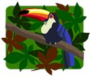 The colorful Toco Toucan, against a leafy patterned background. Its black body and white throat are overshadowed by its most recognizable trait: a large colorful beak. The bright orange beak is about 8 inches. In addition, the beak houses a flat tongue of the same length, which helps the toucan catch insects, frogs, and reptiles.