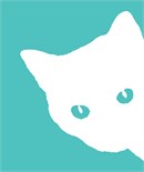 White cat with turquoise eyes. Here are some white cat names that are popular:
Chowder.
Coco (short for Coconut)
Misty.
Casper (the Friendly Ghost)
Tic Tac (for the tiny white peppermint candy by the same name)
Boo (your baby or the kind with the white sheet – you pick)
Lily.
Chilly.