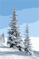 Snow, evergreen trees, what winter fun!