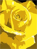 Delicately unwrapped petals in shades of yellow. Red roses symbolize love and romance. Pink roses symbolize gratitude, grace, admiration, and joy. Orange roses symbolize enthusiasm and passion. Yellow roses symbolize friendship. White roses symbolize innocence and purity.