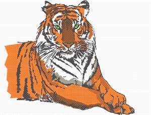 image of Tiger Sketch
