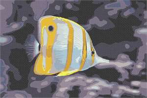 image of Tropical Fish 4