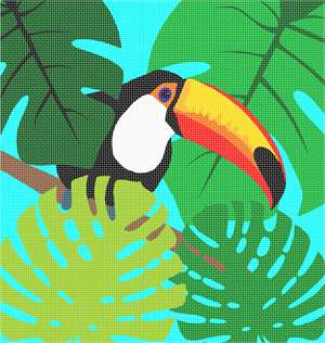 image of Tropical Toucan