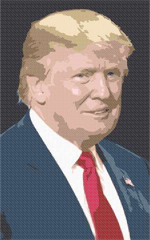 image of Donald J Trump