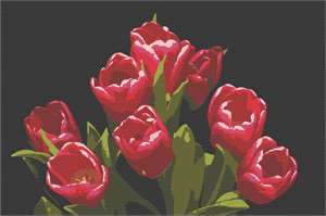 image of Tulip Bunch