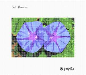 Two blue-purple flowers with bright fuchsia centers huddled together against deep green flora.