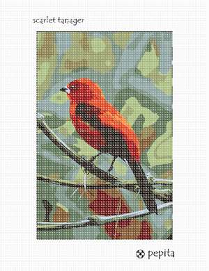 image of Scarlet Tanager