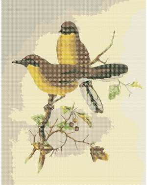 A pair of brightly colored birds. Based on a John Gould painting.